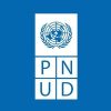 pnud
